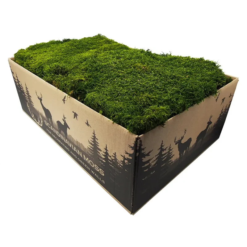 Flat Preserved Moss Wall Decor - 1 m²