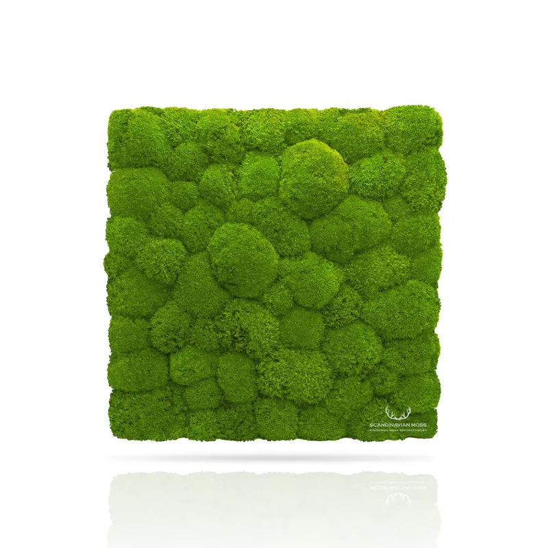 Pillow Preserved Moss Wall Decor - 0.1 m²
