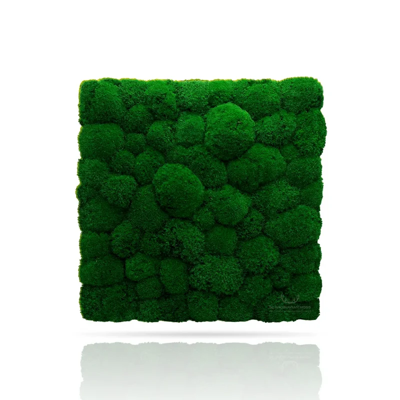 Pillow Preserved Moss Wall Decor - 0.1 m²