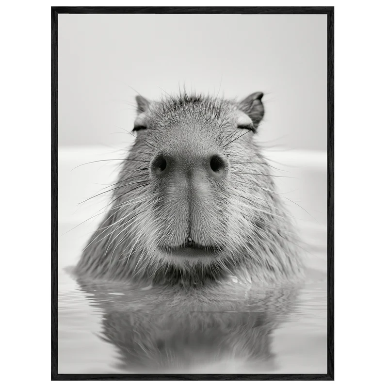 Capybara im Wasser Leinwand