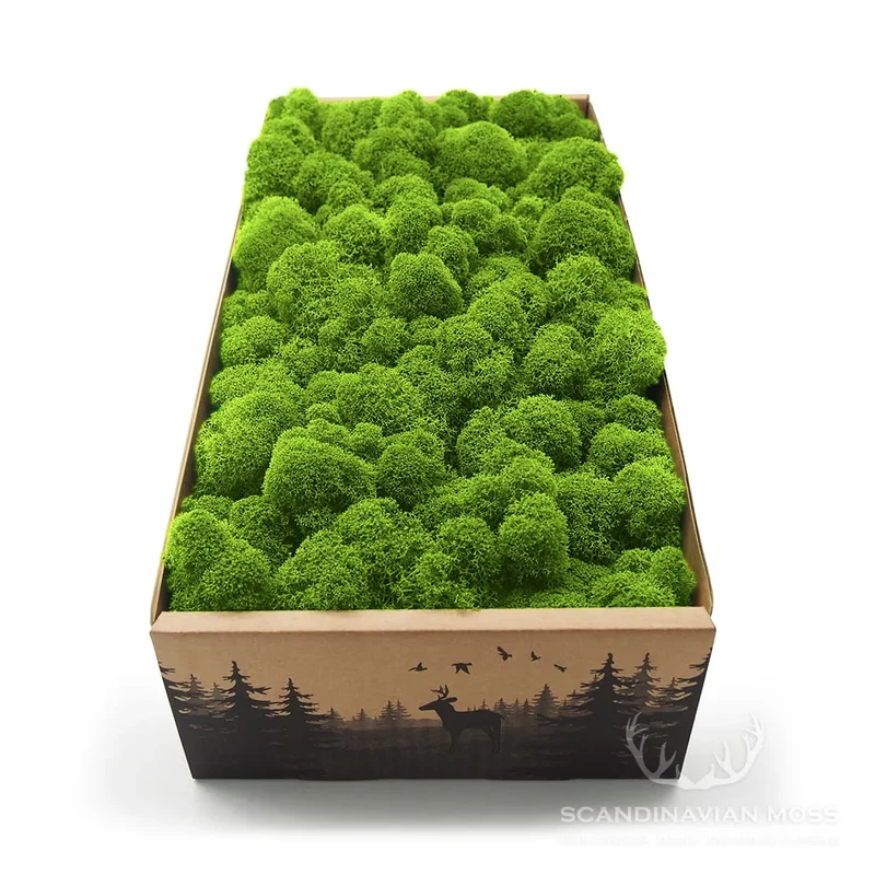 Reindeer Preserved Moss Wall Decor - 0.1 m²