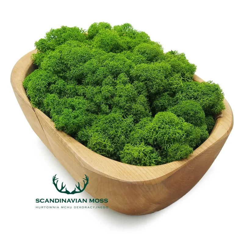 Reindeer Preserved Moss Wall Decor - 0.1 m²