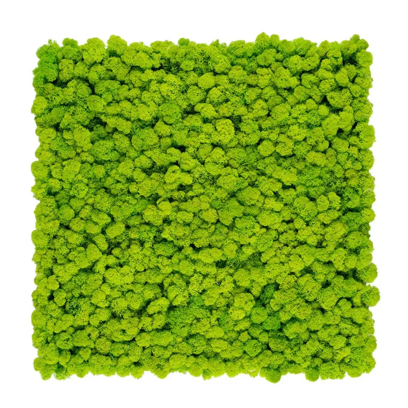 Reindeer Preserved Moss Wall Decor - 0.1 m²