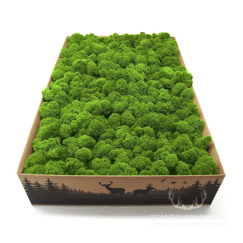 Reindeer Preserved Moss Wall Decor - 0.36 m²