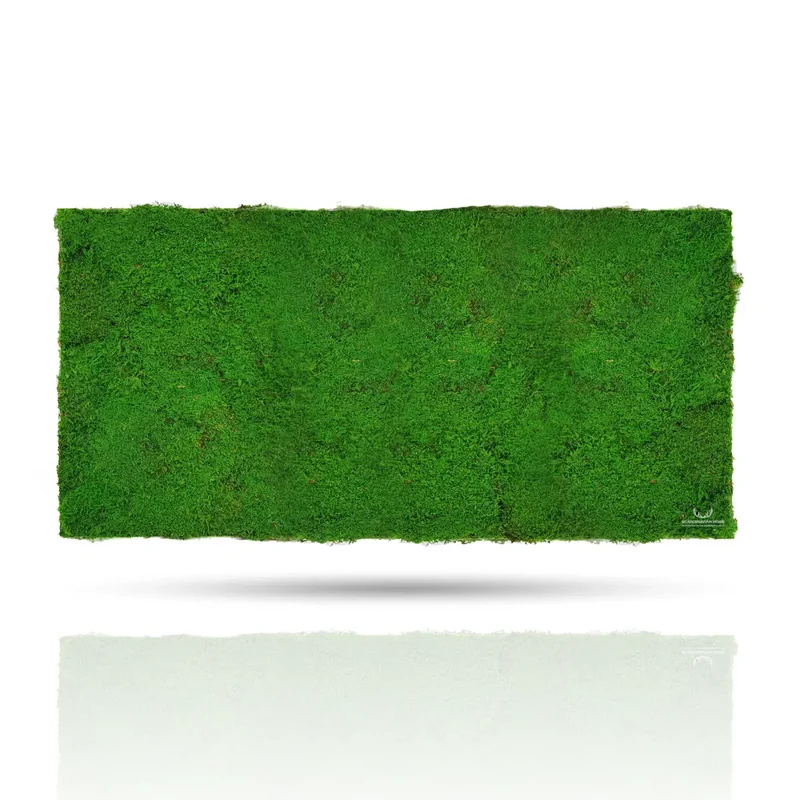 Frameless Flat Moss Wall Panels - Rectangle 100 x 50 cm