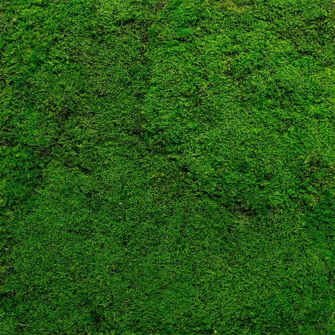 Frameless Flat Moss Wall Panels - Rectangle 100 x 50 cm