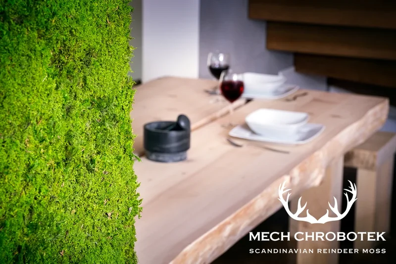 Frameless Flat Moss Wall Panels - Rectangle 100 x 50 cm
