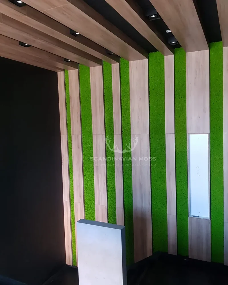 Frameless Flat Moss Wall Panels - Rectangle 100 x 50 cm