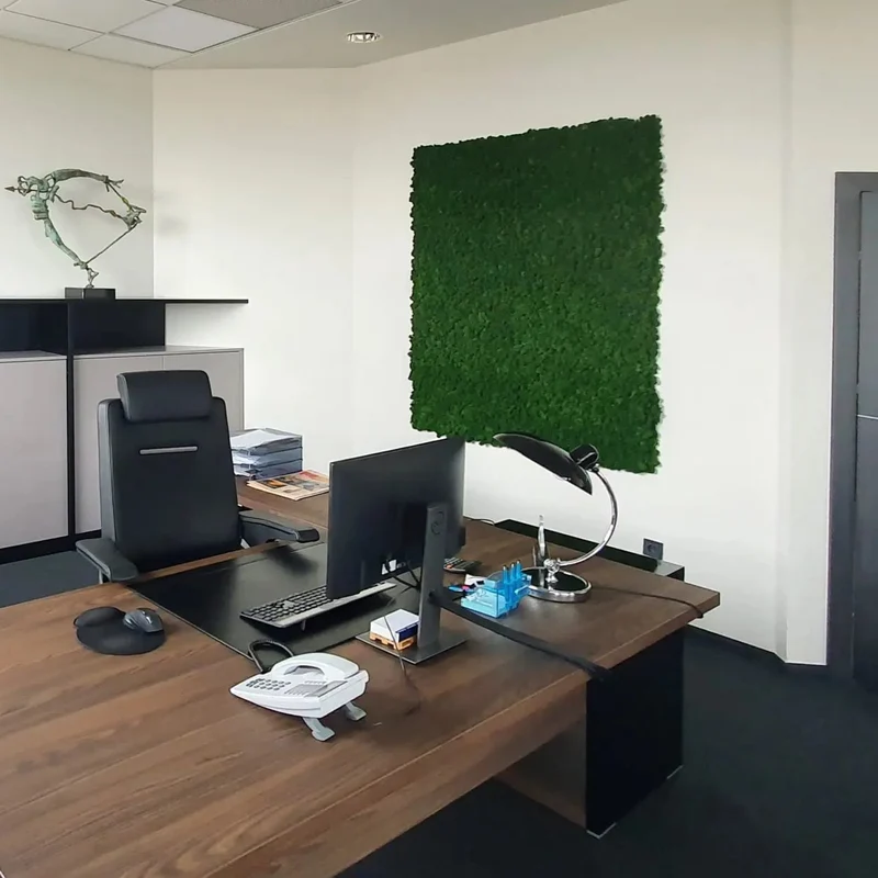 Frameless Flat Moss Wall Panels - Square 50 x 50 cm
