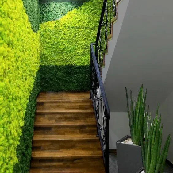 Frameless Reindeer Moss Wall Panels - Rectangle 100 x 50 cm