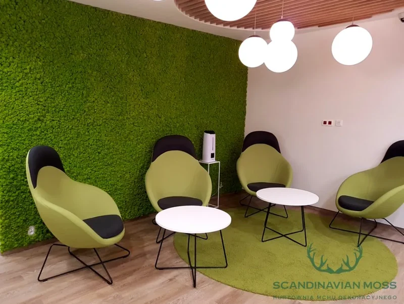 Frameless Reindeer Moss Wall Panels - Rectangle 100 x 50 cm