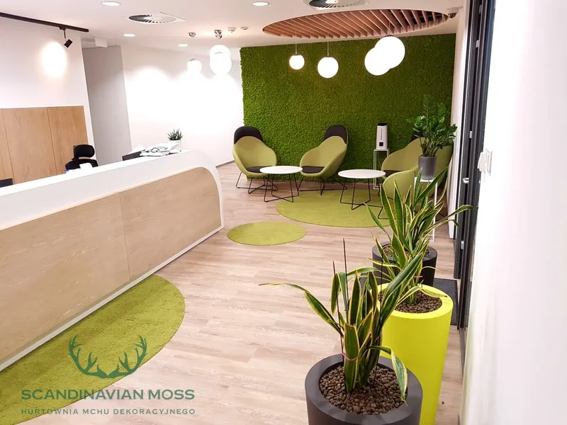 Frameless Reindeer Moss Wall Panels - Rectangle 100 x 50 cm