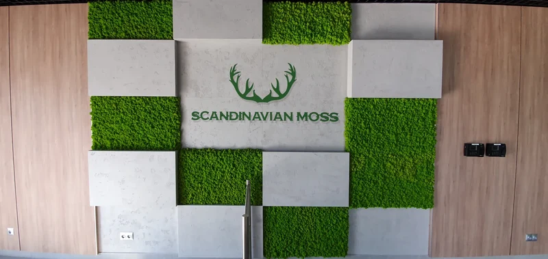 Frameless Reindeer Moss Wall Panels - Rectangle 100 x 50 cm