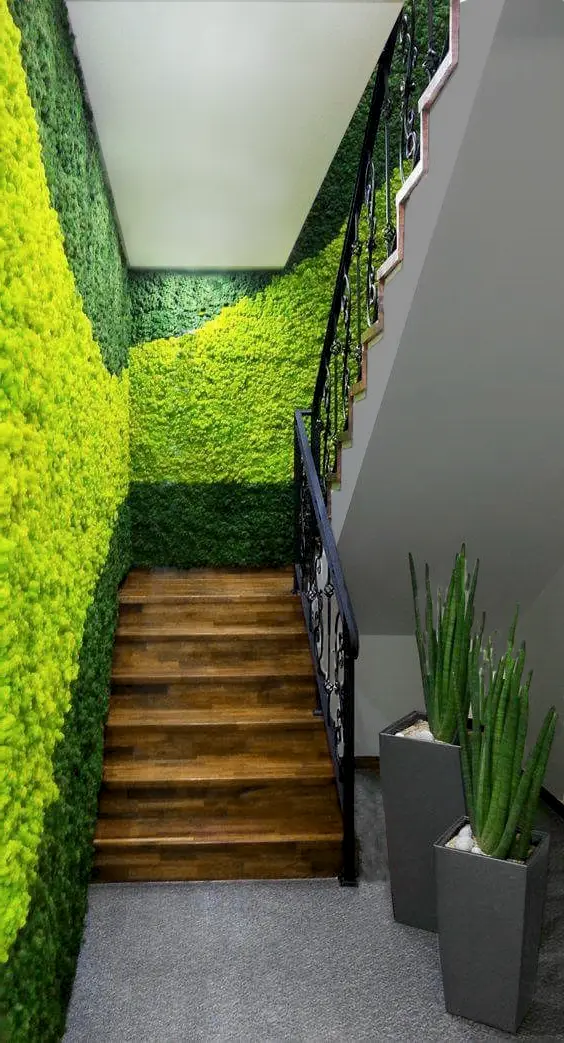Frameless Reindeer Moss Wall Panels - Rectangle 100 x 50 cm