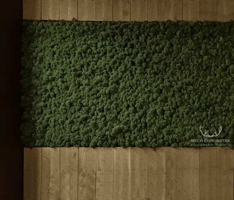 Frameless Reindeer Moss Wall Panels - Rectangle 100 x 50 cm