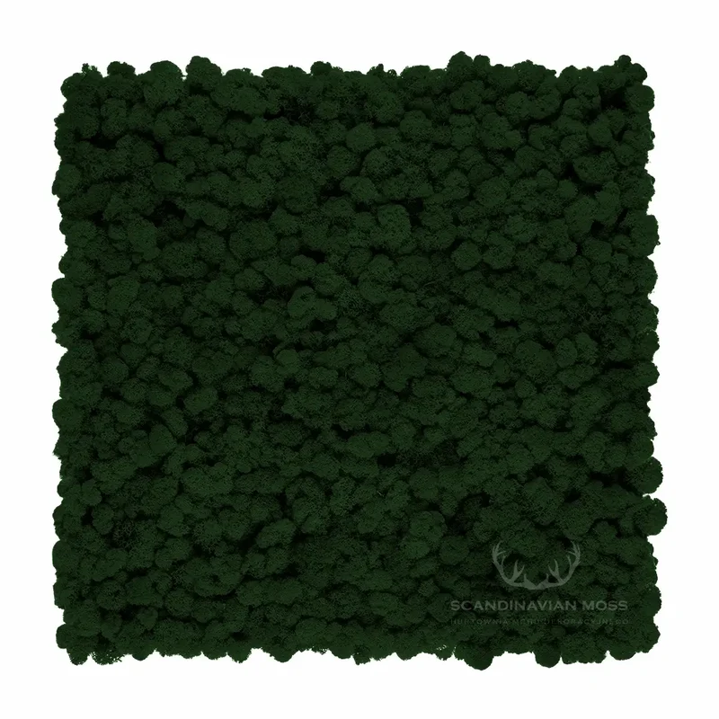 Frameless Reindeer Moss Wall Panels - Rectangle 100 x 50 cm