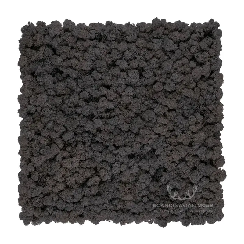 Frameless Reindeer Moss Wall Panels - Rectangle 100 x 50 cm