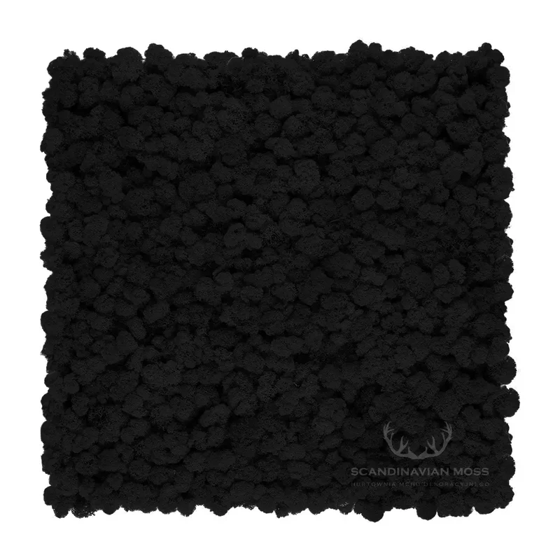 Frameless Reindeer Moss Wall Panels - Rectangle 100 x 50 cm