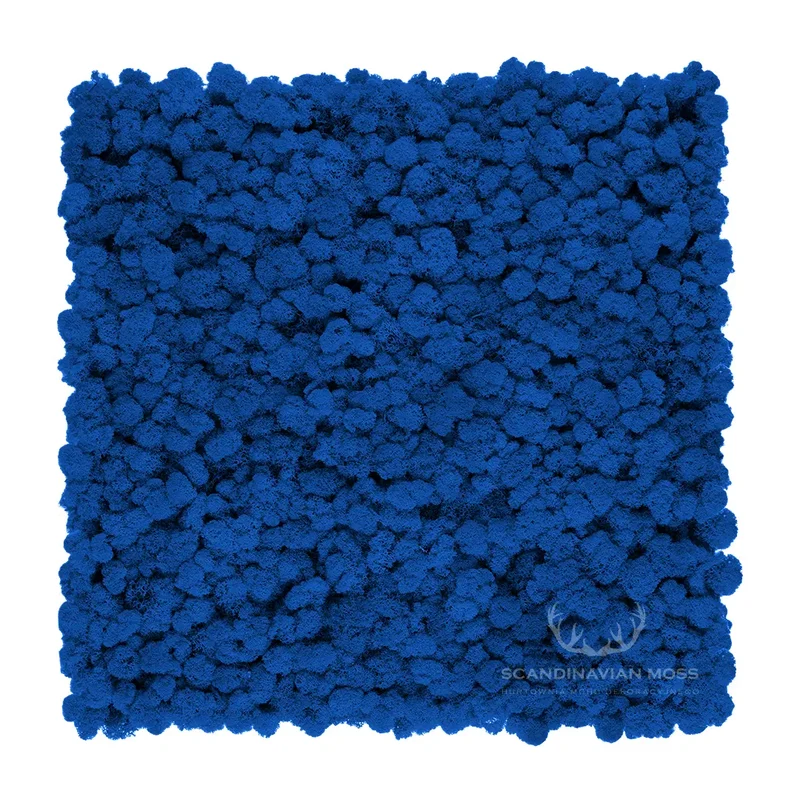 Frameless Reindeer Moss Wall Panels - Rectangle 100 x 50 cm
