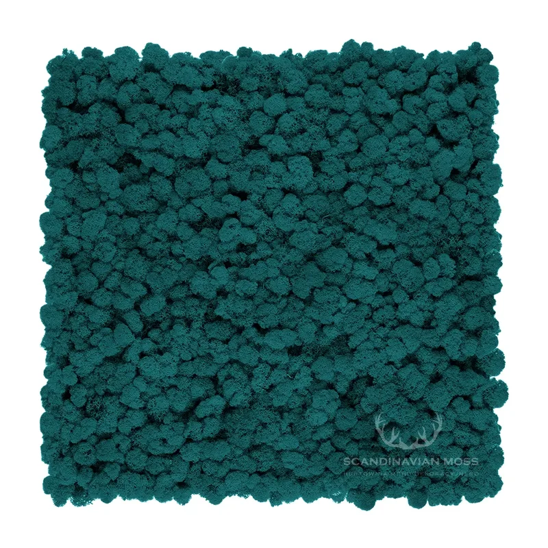 Frameless Reindeer Moss Wall Panels - Rectangle 100 x 50 cm