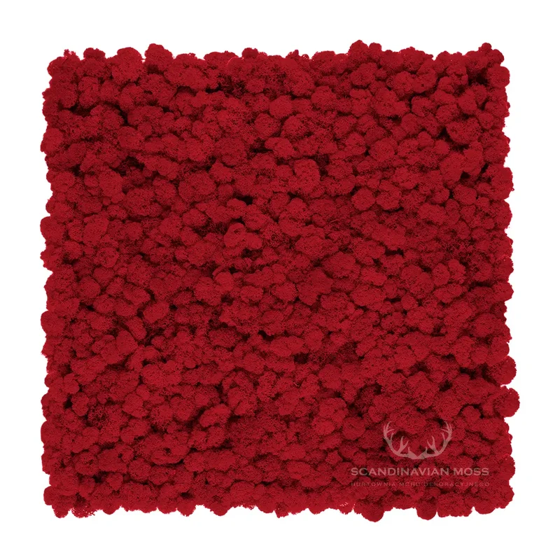 Frameless Reindeer Moss Wall Panels - Rectangle 100 x 50 cm