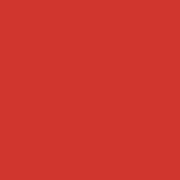 Daler Rowney - Canford - A1 Card 300gsm - Guardsman Red