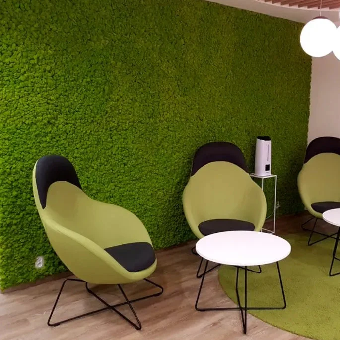 Frameless Reindeer Moss Wall Panels - Square 50 x 50 cm