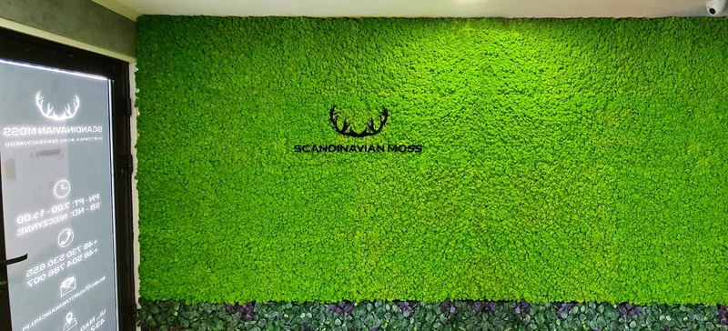 Frameless Reindeer Moss Wall Panels - Square 50 x 50 cm