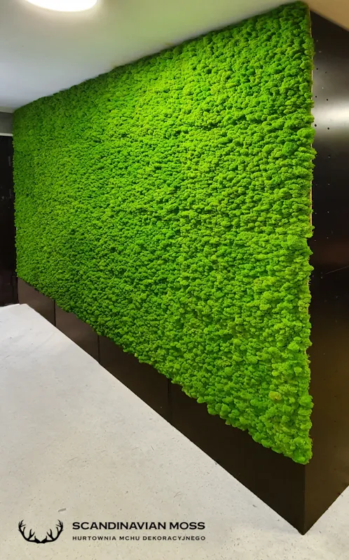Frameless Reindeer Moss Wall Panels - Square 50 x 50 cm