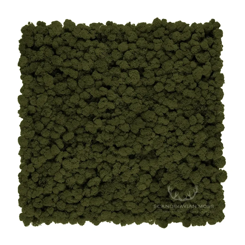 Frameless Reindeer Moss Wall Panels - Square 50 x 50 cm