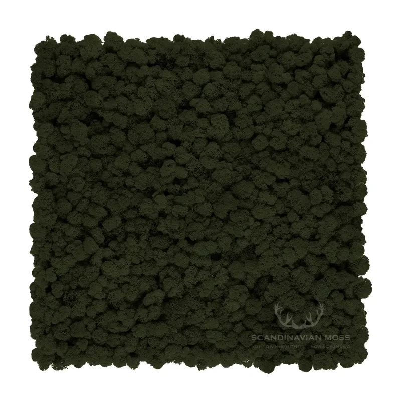 Frameless Reindeer Moss Wall Panels - Square 50 x 50 cm
