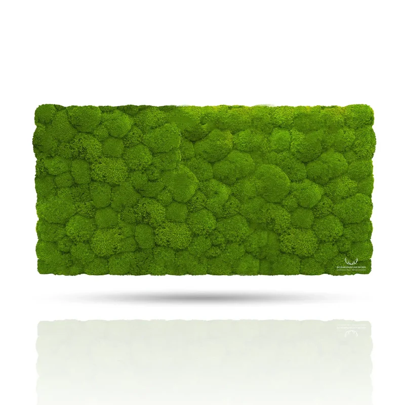 Frameless Pillow Moss Wall Panels - Rectangle 100 x 50 cm