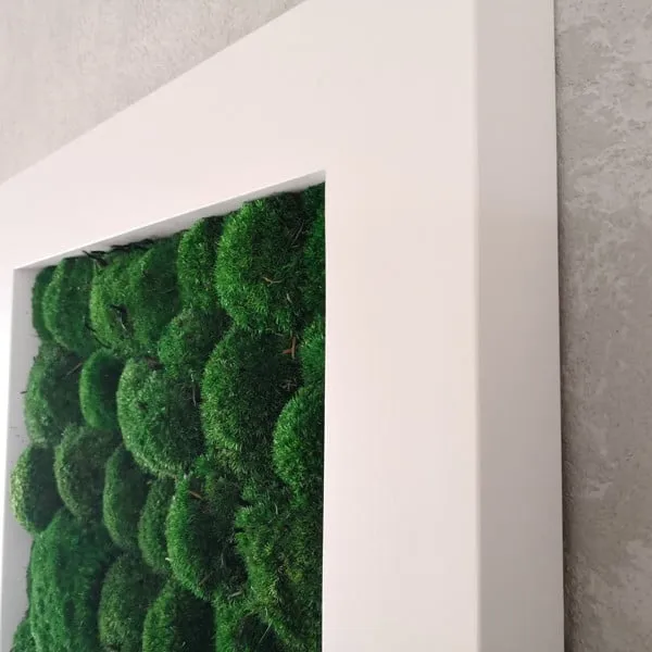 Frameless Pillow Moss Wall Panels - Rectangle 100 x 50 cm