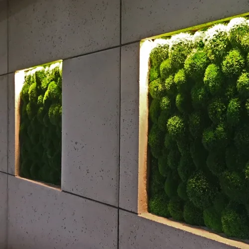Frameless Pillow Moss Wall Panels - Rectangle 100 x 50 cm