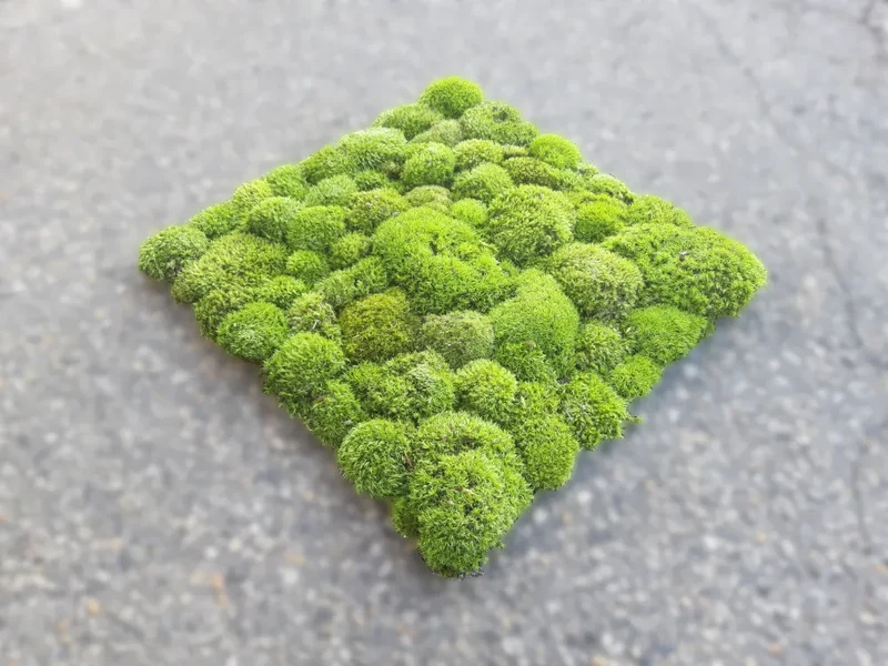 Frameless Pillow Moss Wall Panels - Rectangle 100 x 50 cm
