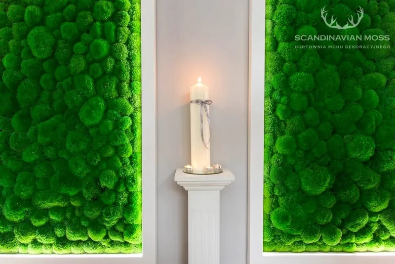 Frameless Pillow Moss Wall Panels - Rectangle 100 x 50 cm