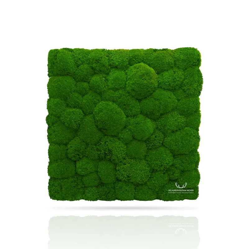 Frameless Pillow Moss Wall Panels - Rectangle 100 x 50 cm