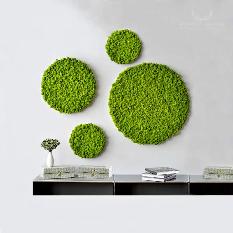 Frameless Reindeer Moss Wall Panels - Round