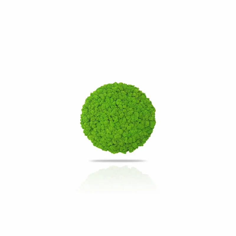 Frameless Reindeer Moss Wall Panels - Round