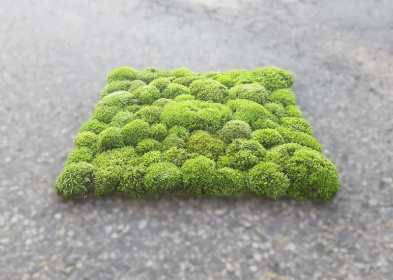 Frameless Pillow Moss Wall Panels - Square 50 x 50 cm