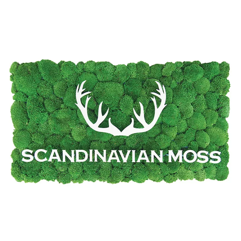 Frameless Pillow Moss Wall Panels - Square 50 x 50 cm