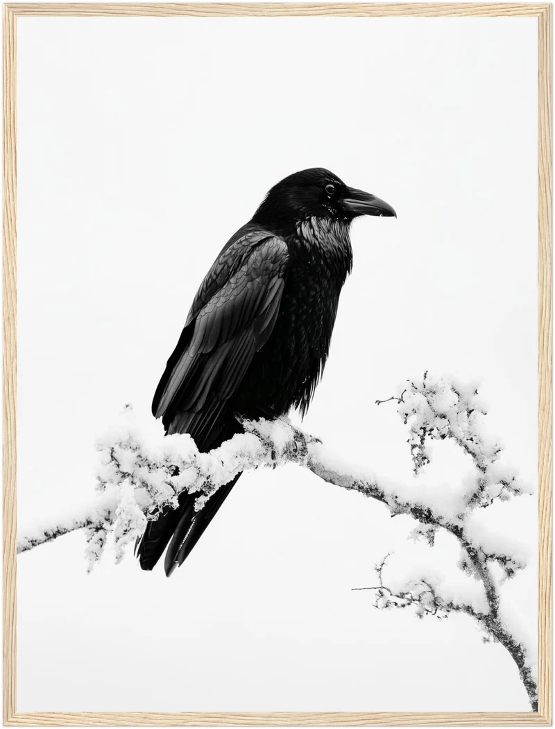 Rabe im Winterschnee Poster