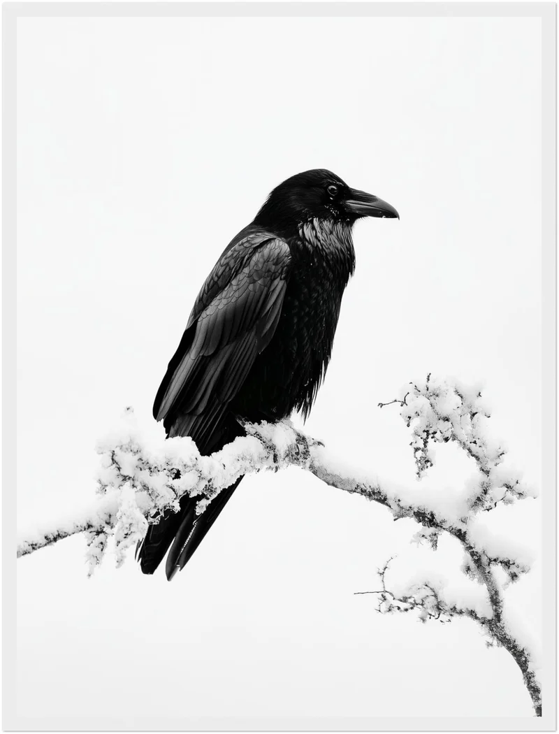 Rabe im Winterschnee Poster