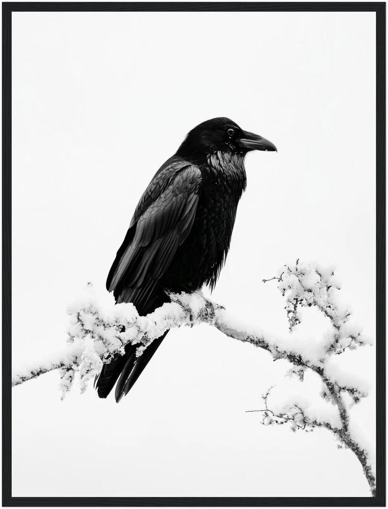 Rabe im Winterschnee Poster