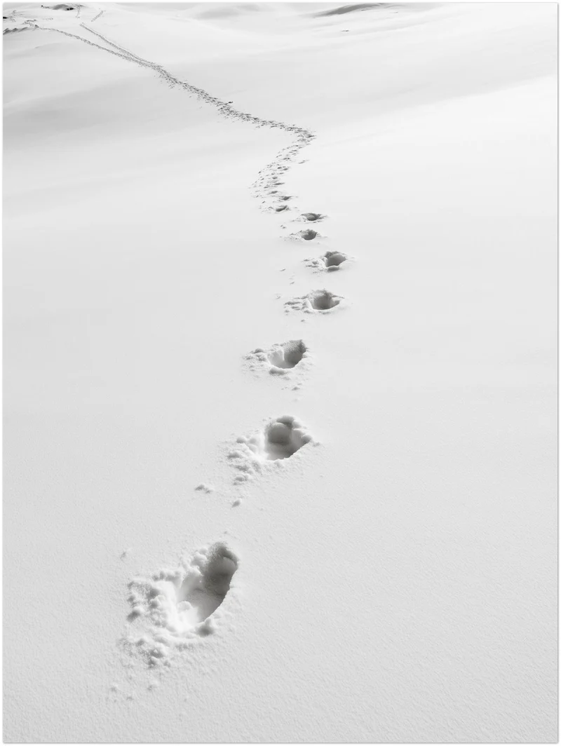 Spuren im Schnee Leinwand