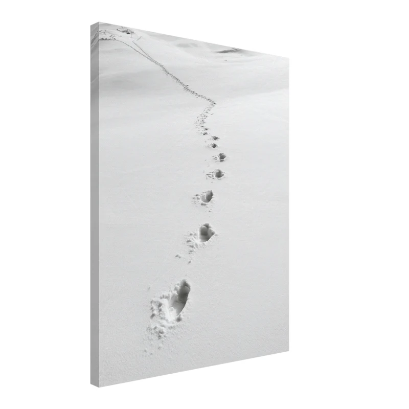 Spuren im Schnee Leinwand