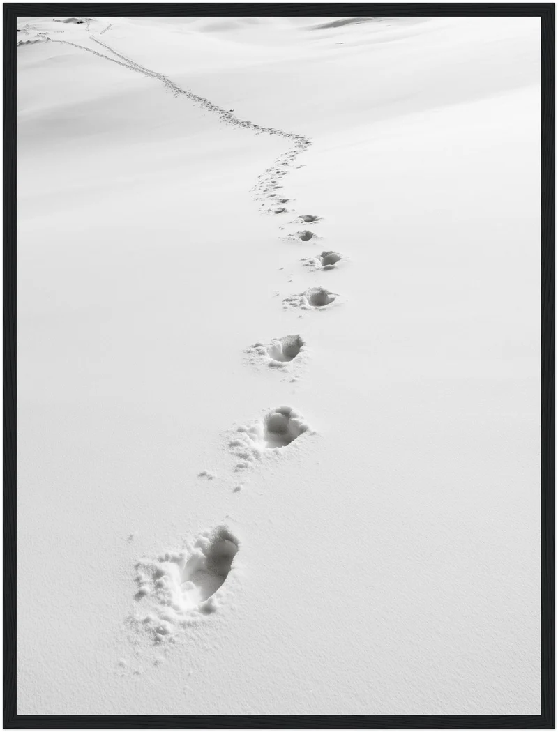 Spuren im Schnee Poster