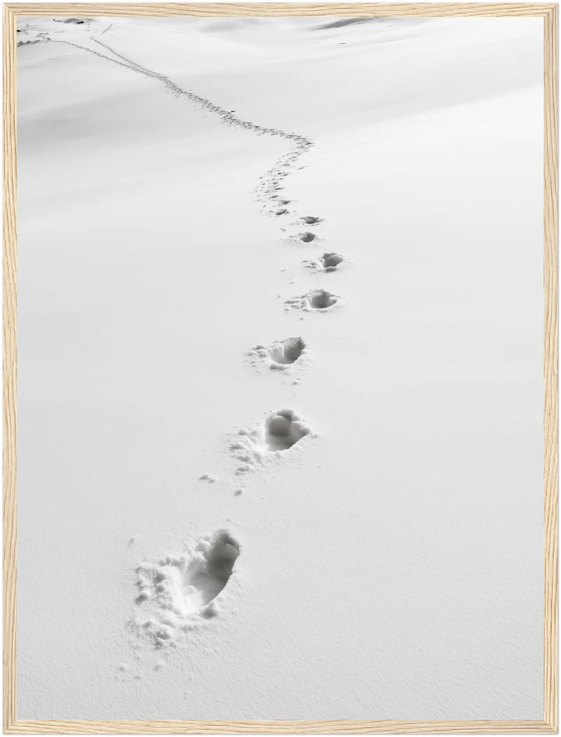 Spuren im Schnee Poster