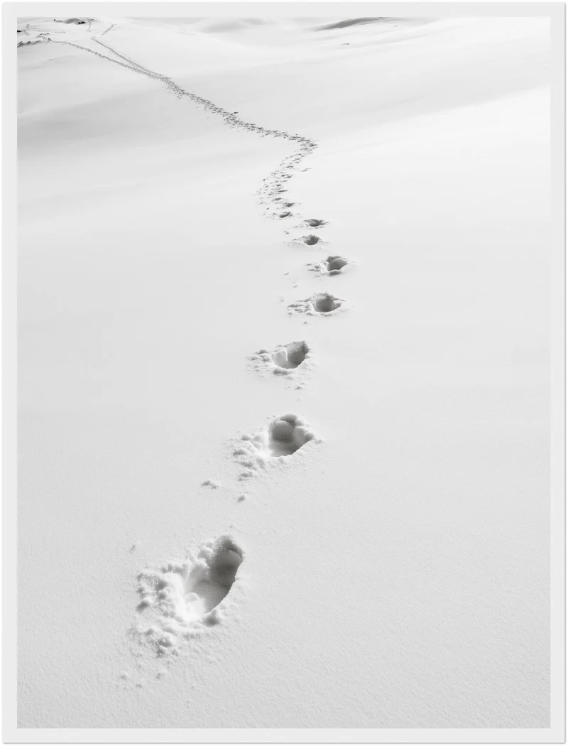 Spuren im Schnee Poster