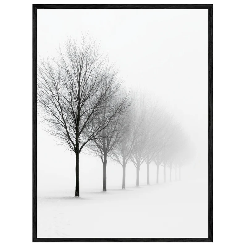 Baumreihe im Winternebel Leinwand